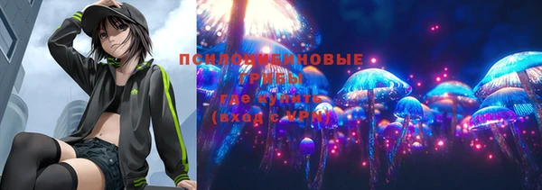 сатива Армянск