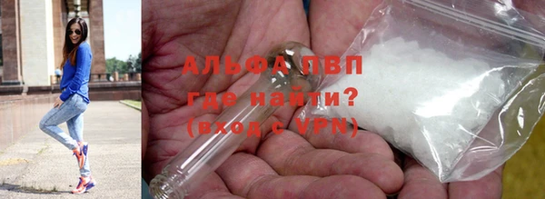 сатива Армянск