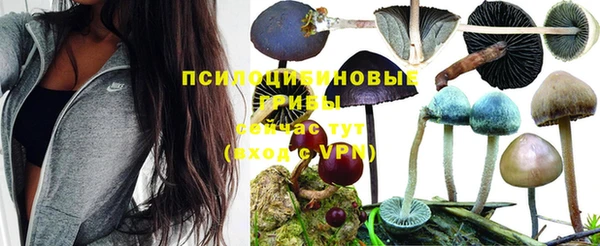 гашиш Алзамай