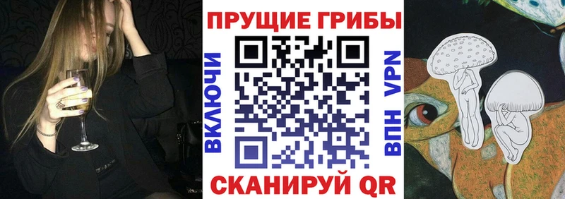 Купить где  Улан-Удэ  Псилоцибиновые грибы мицелий 